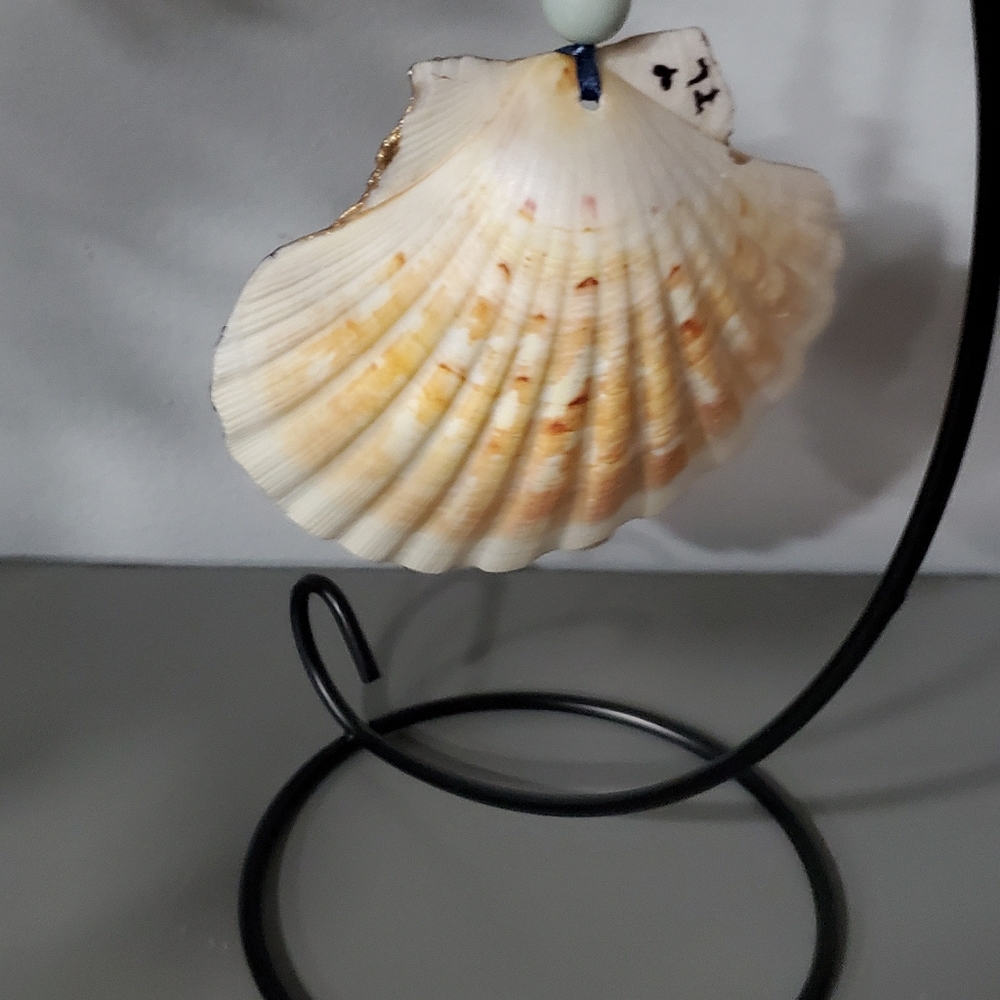 Scallop Shell Ornament Hummingbird Design โ๏ธ๐โ๏ธ - Picture 4 of 4